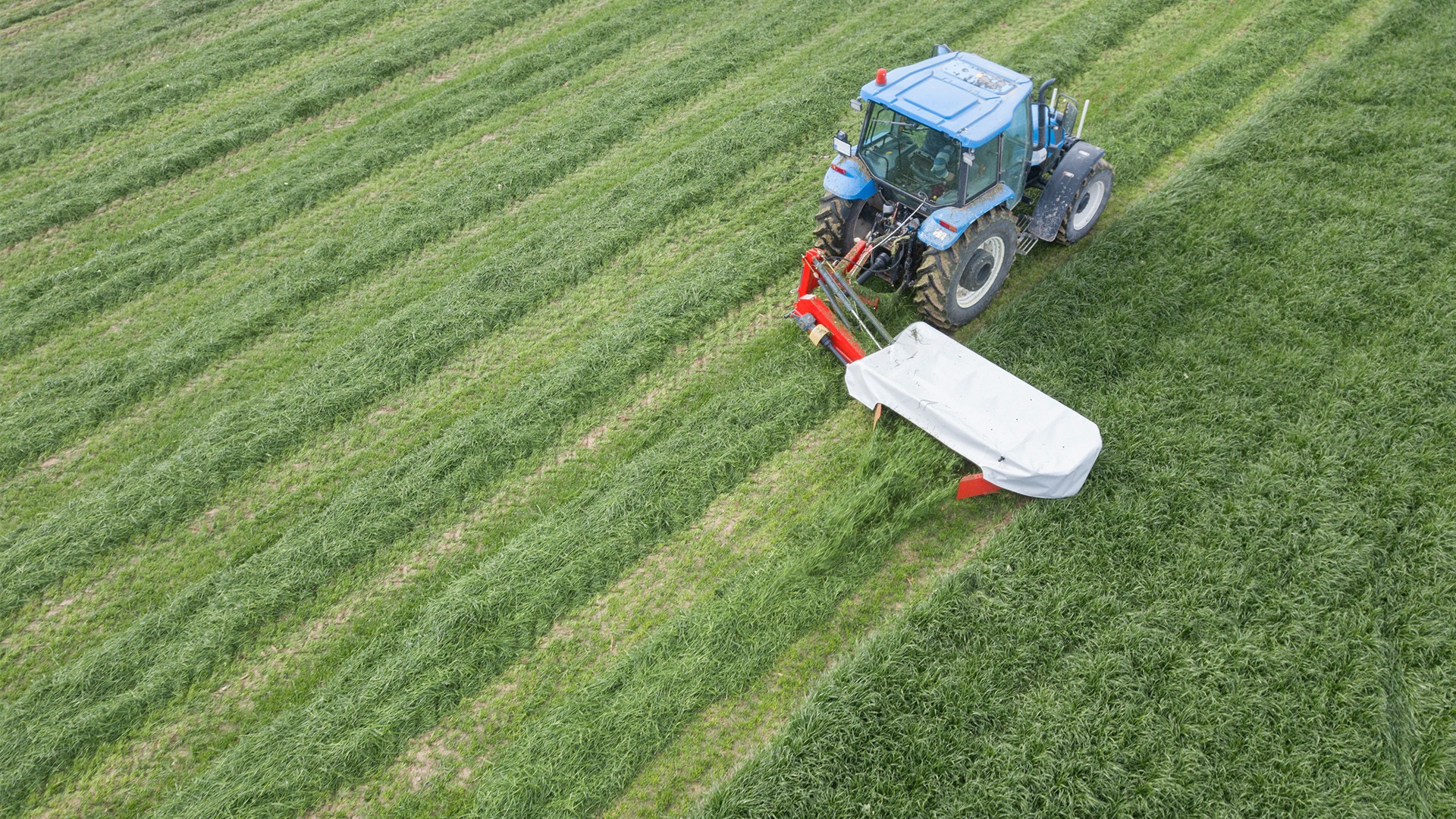 Agromaster