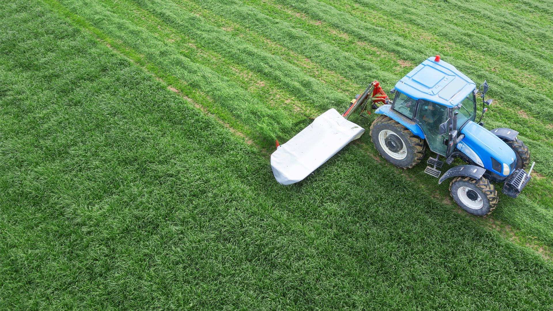 Agromaster