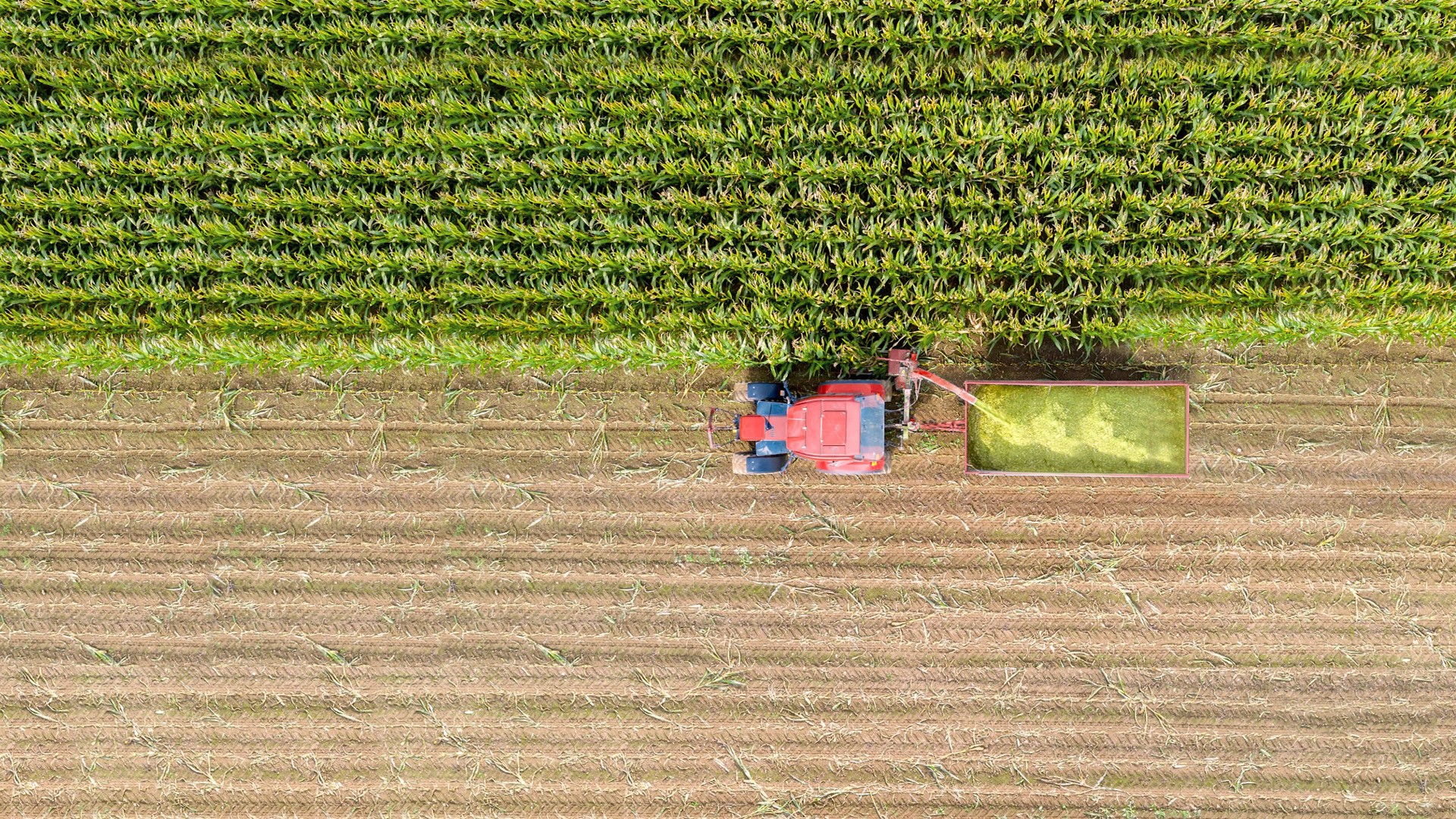 Agromaster
