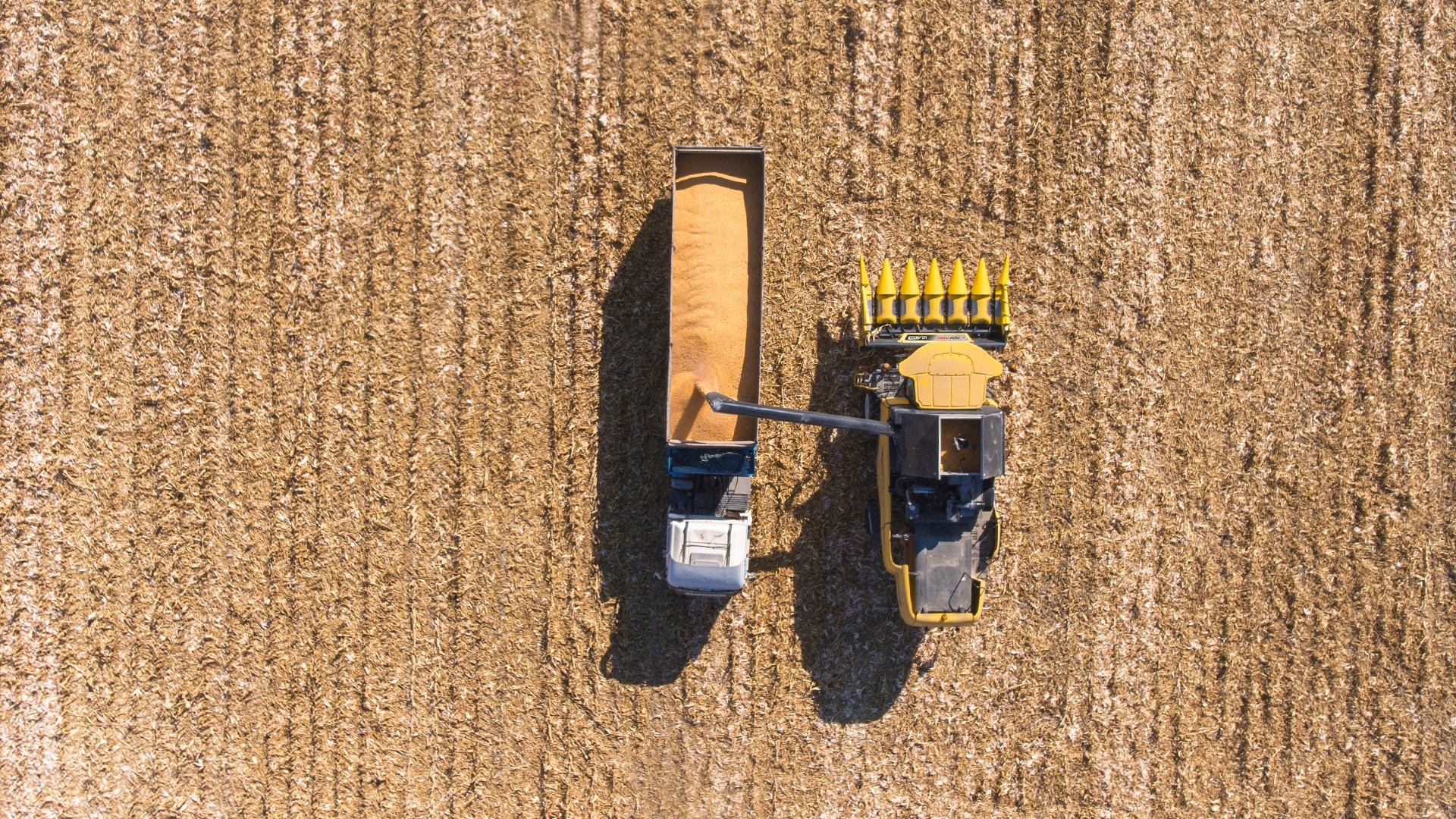 Agromaster