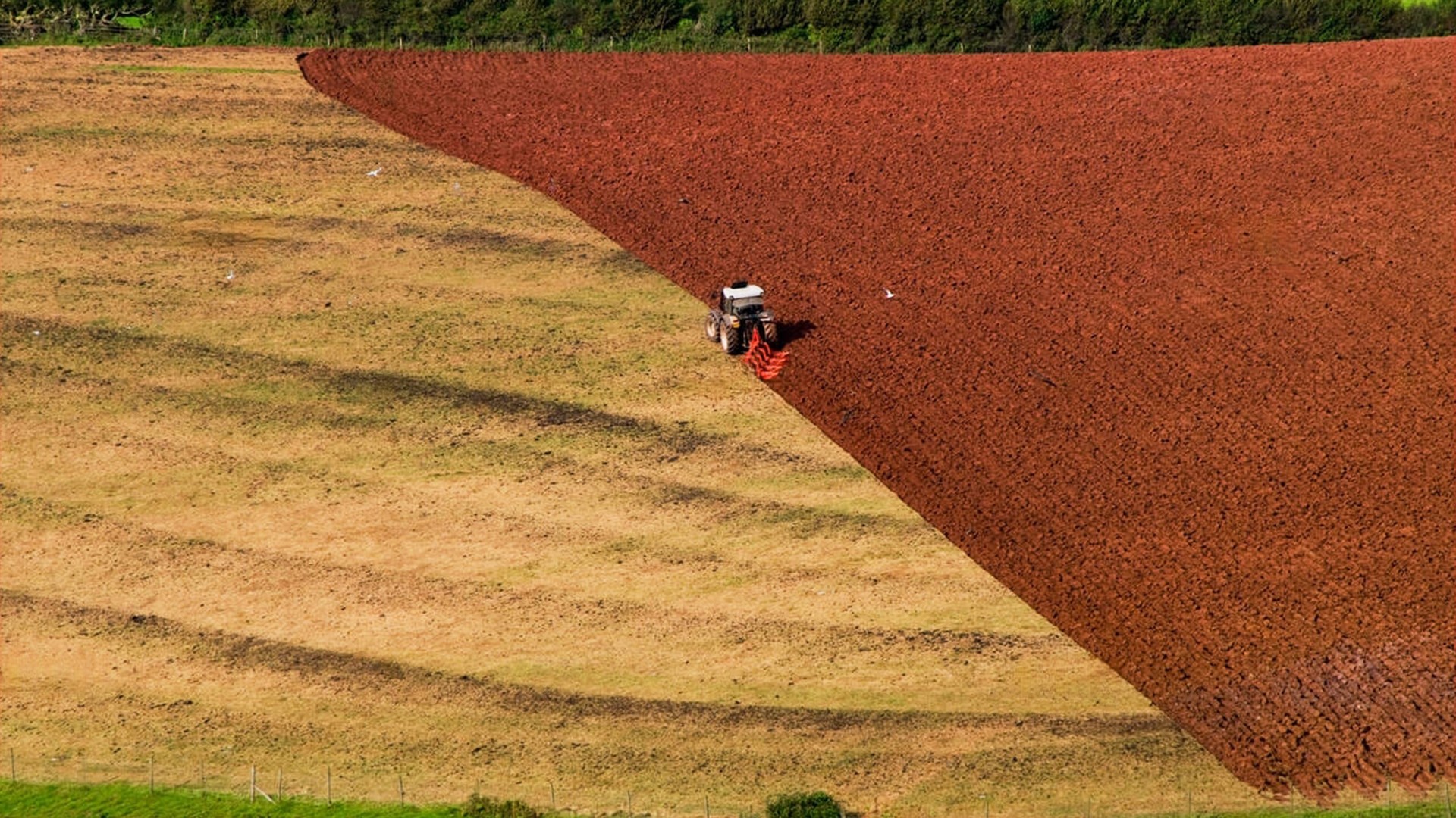 Agromaster