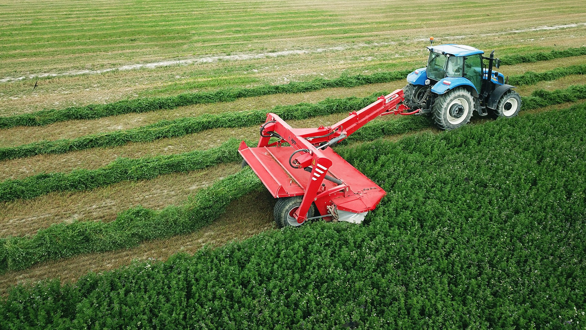 Agromaster