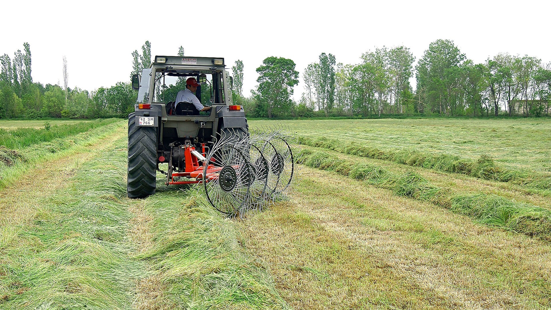 Agromaster