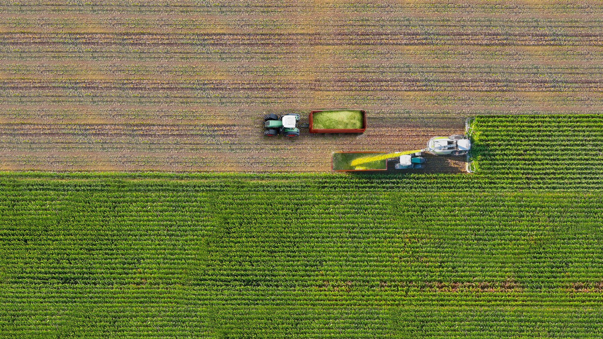 Agromaster