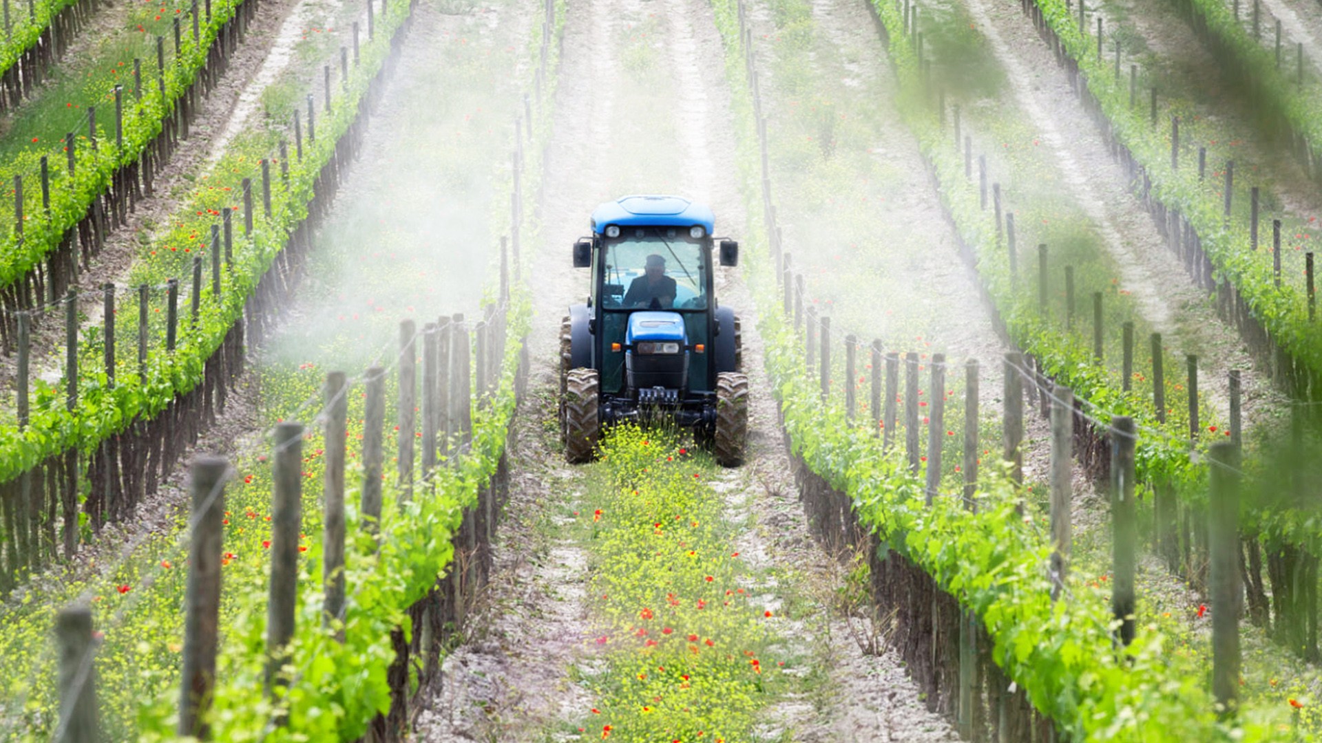 Agromaster