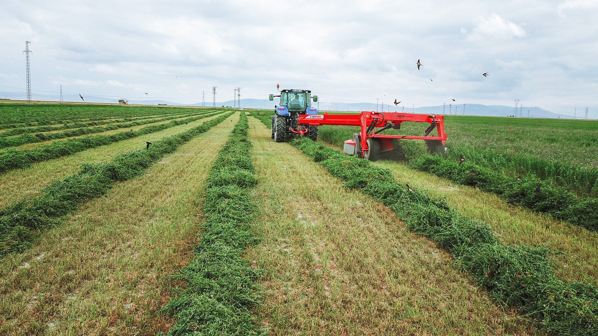 Agromaster