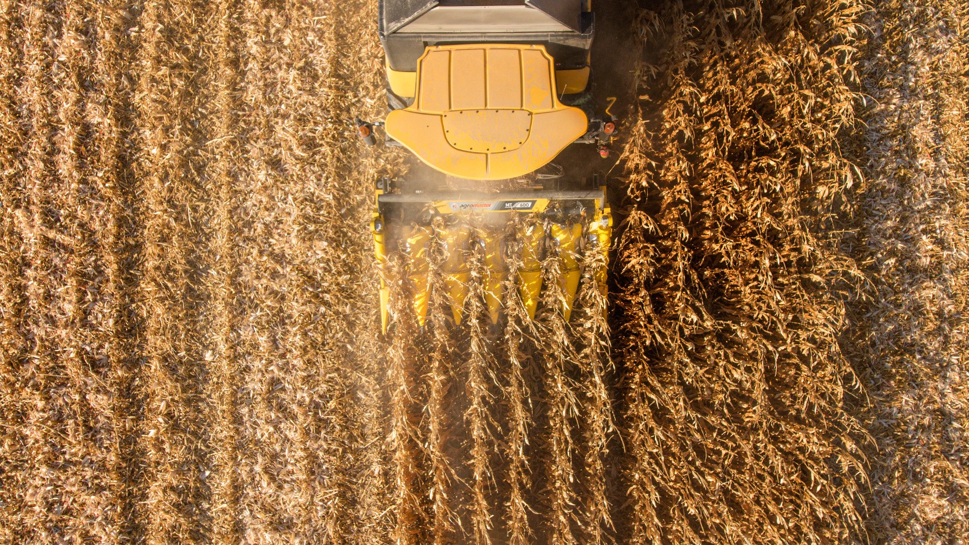 Agromaster
