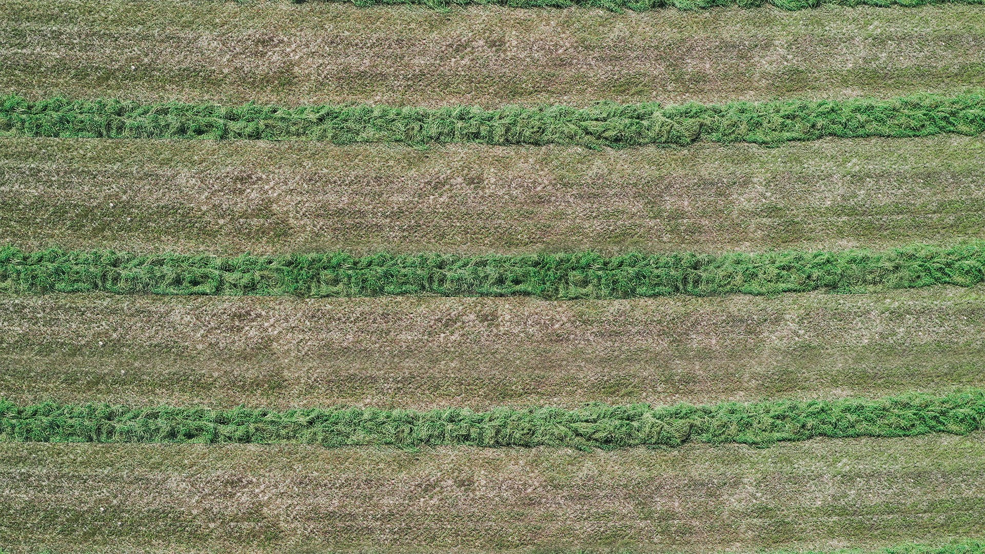 Agromaster