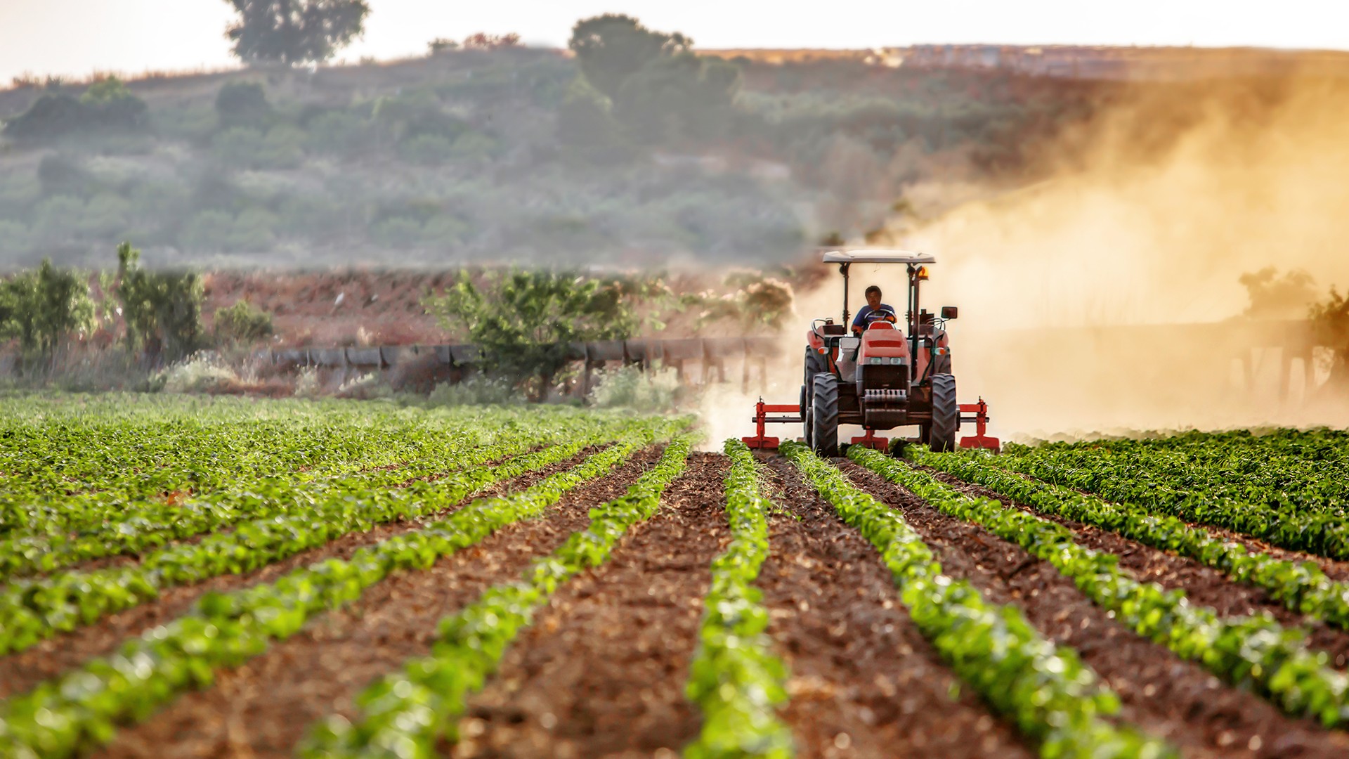 Agromaster
