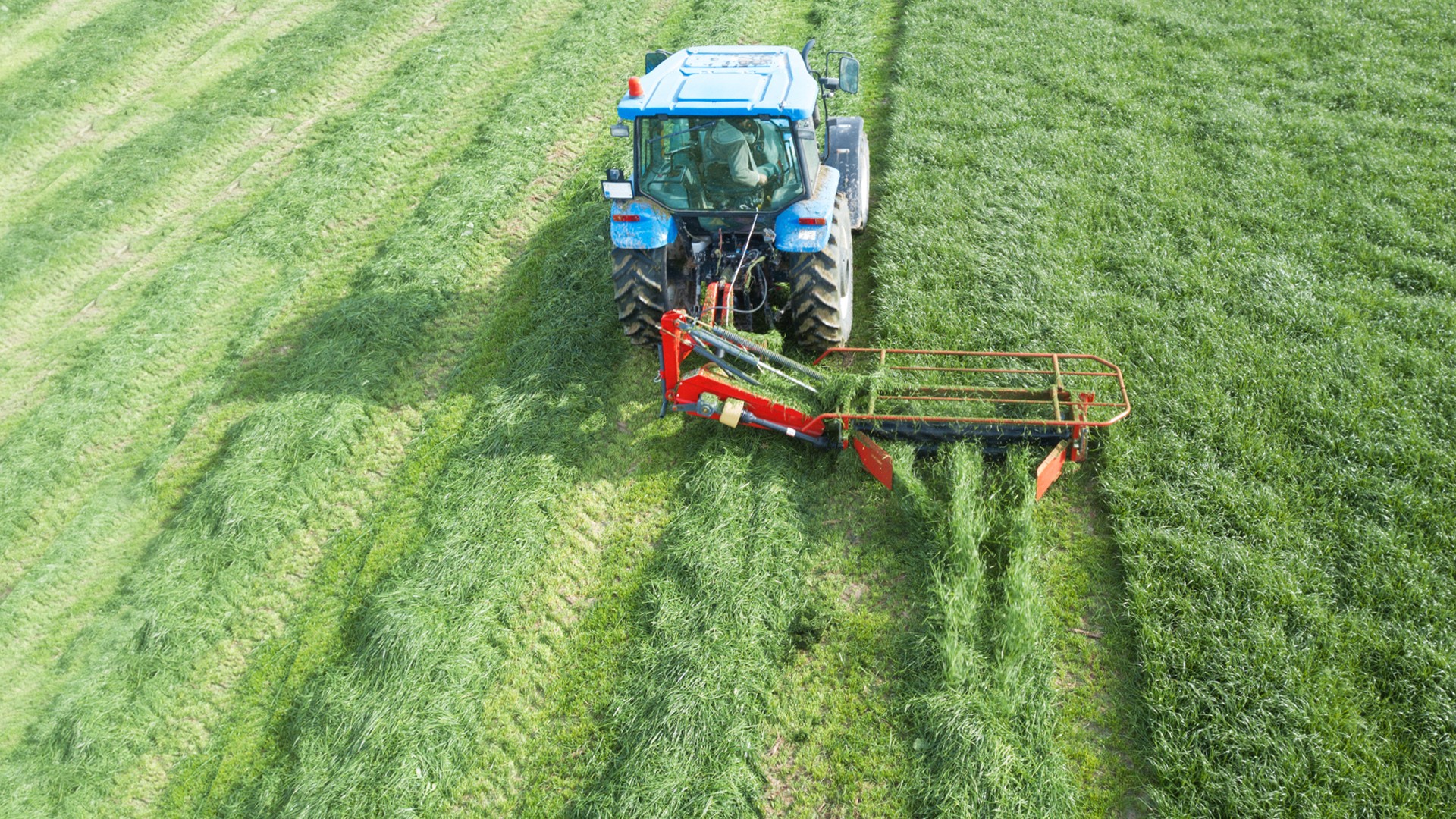 Agromaster