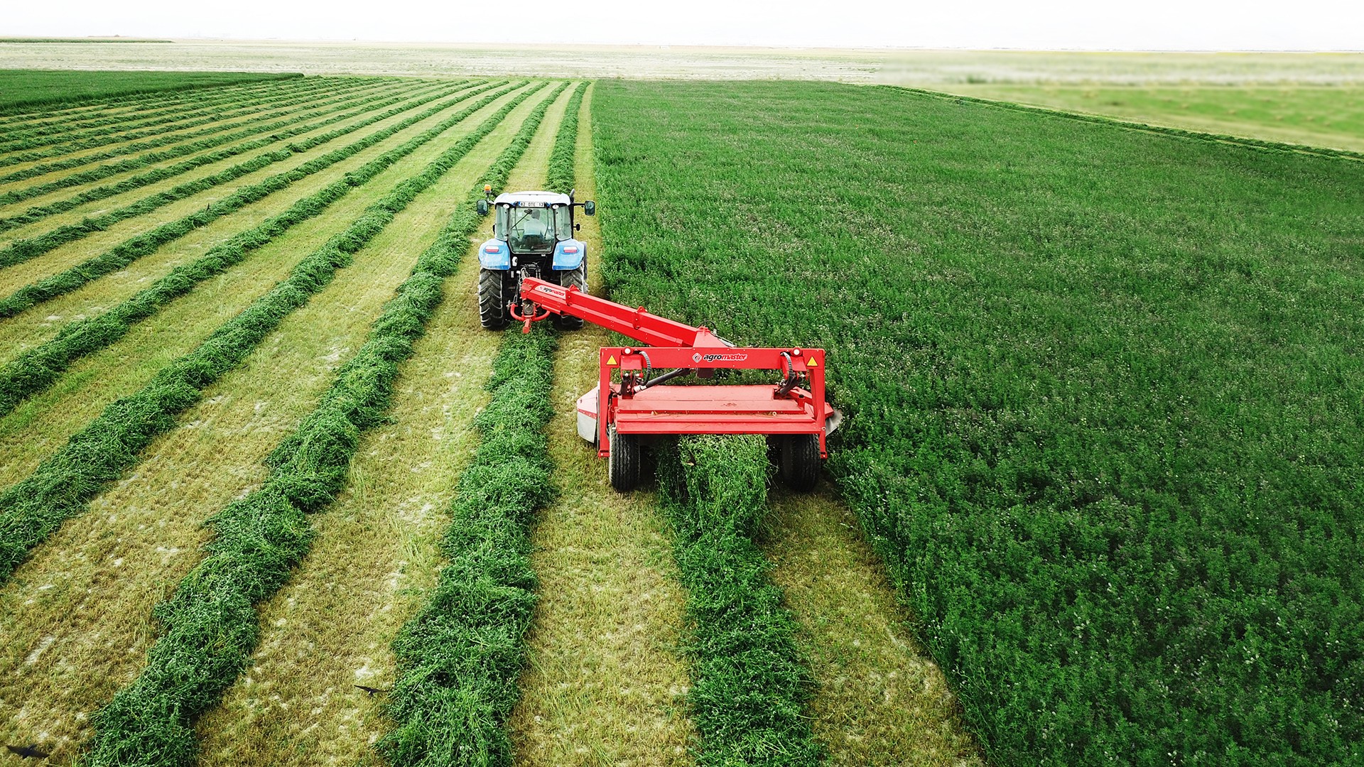 Agromaster