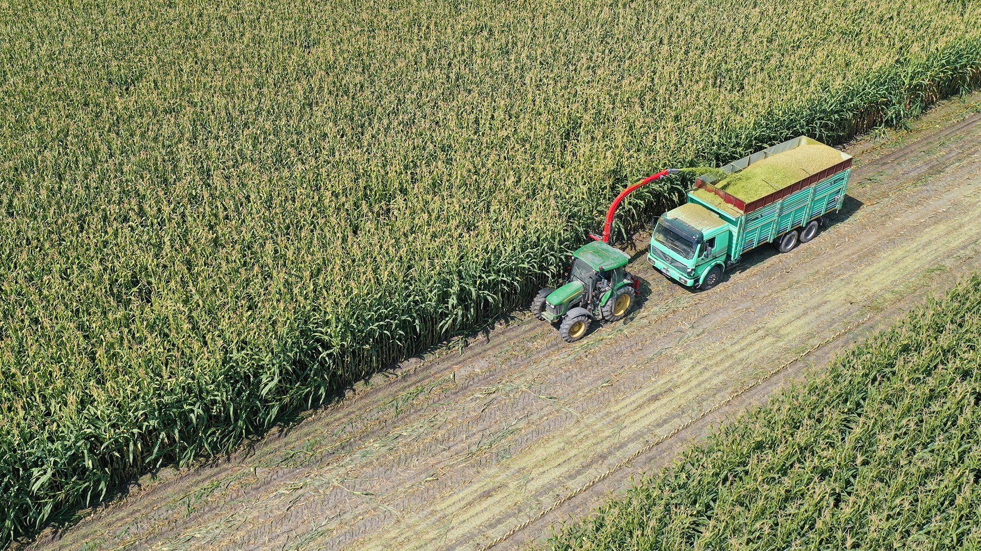 Agromaster
