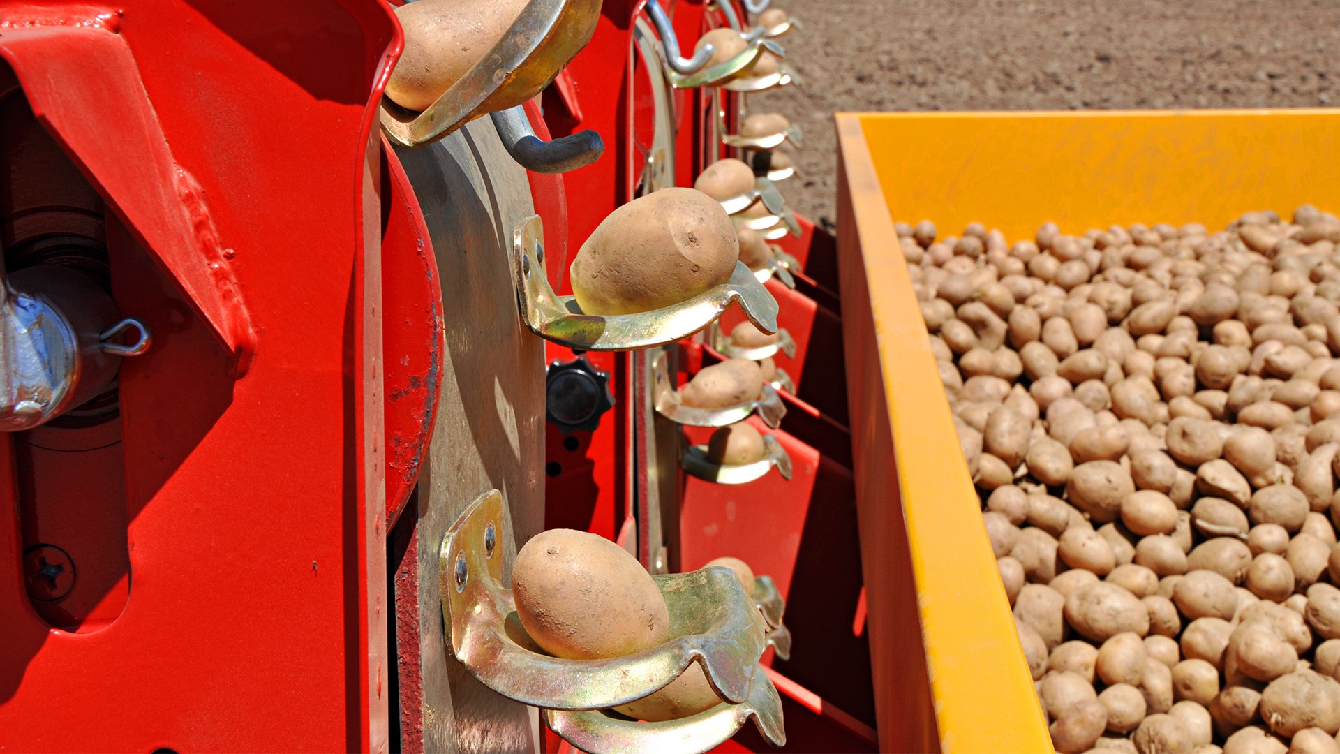 Agromaster