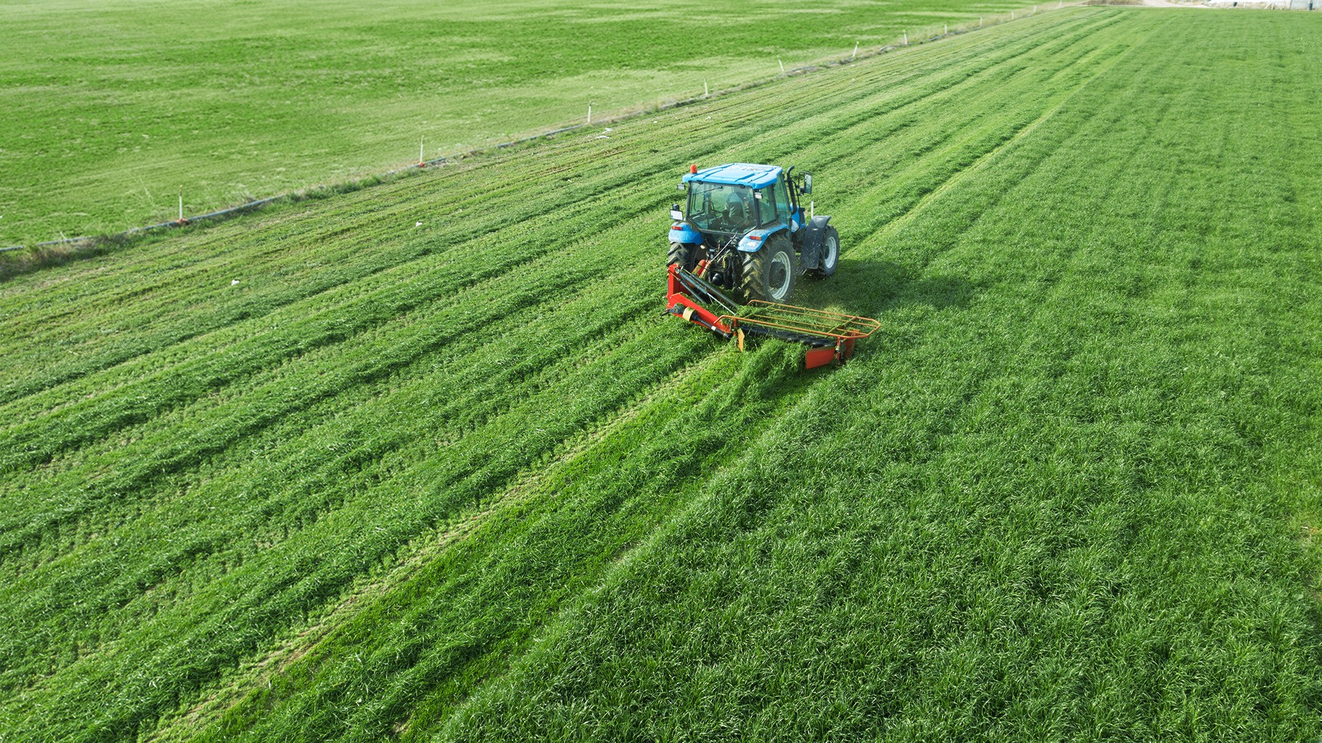 Agromaster
