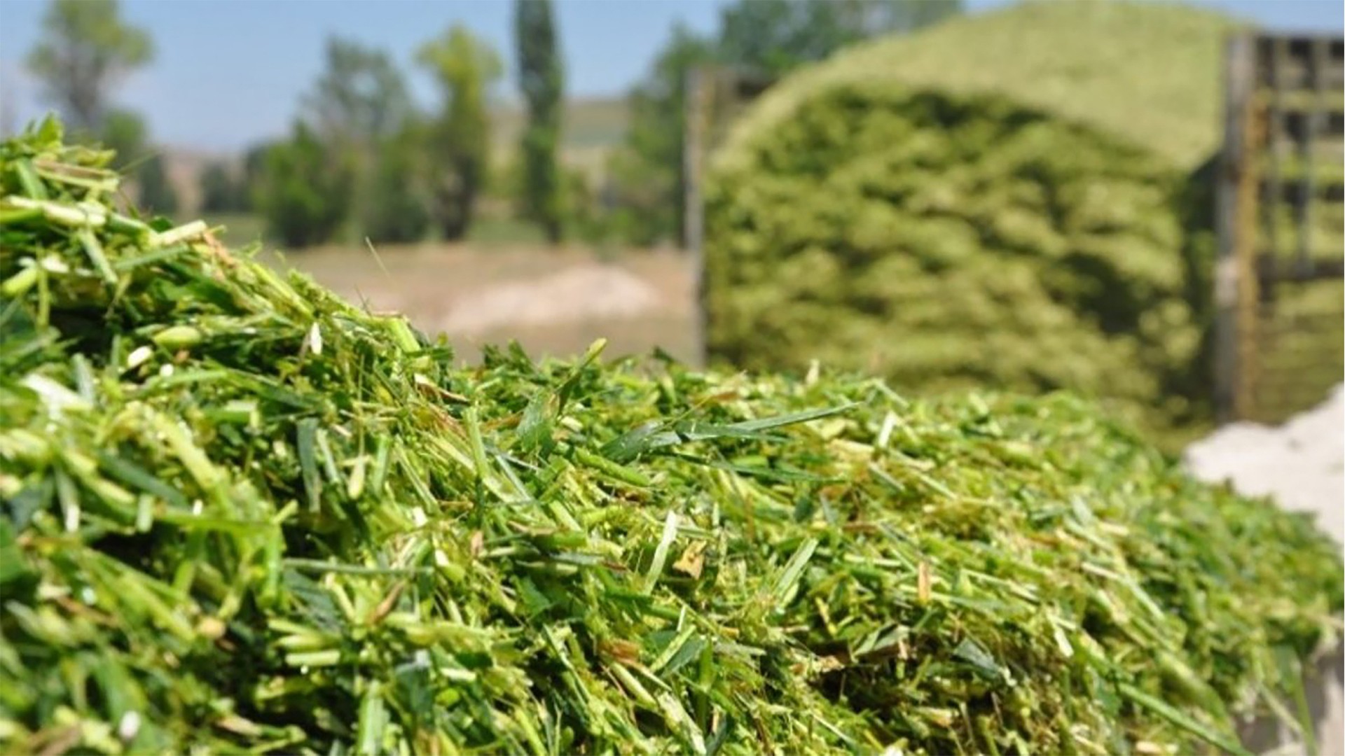 Agromaster