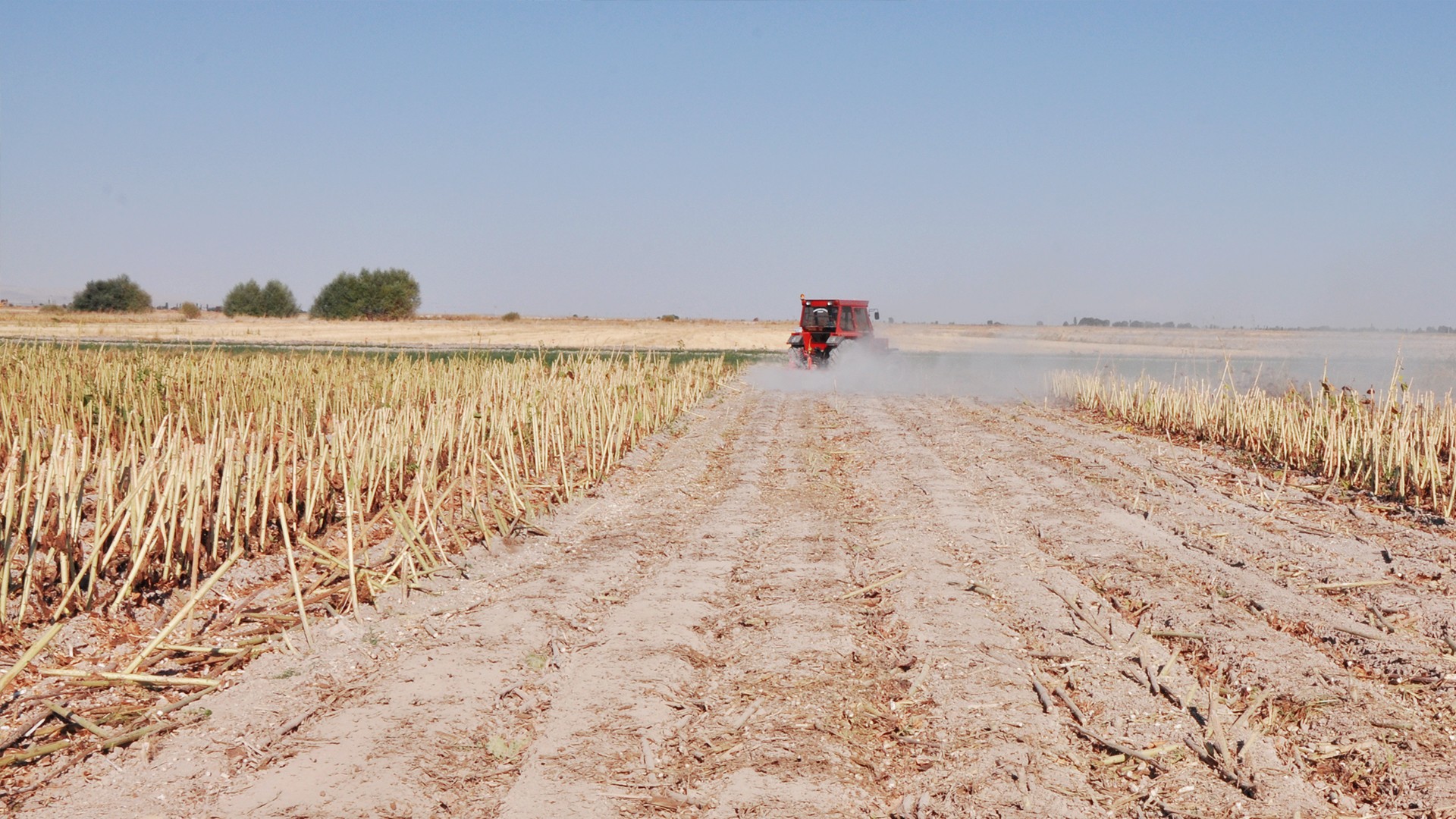 Agromaster
