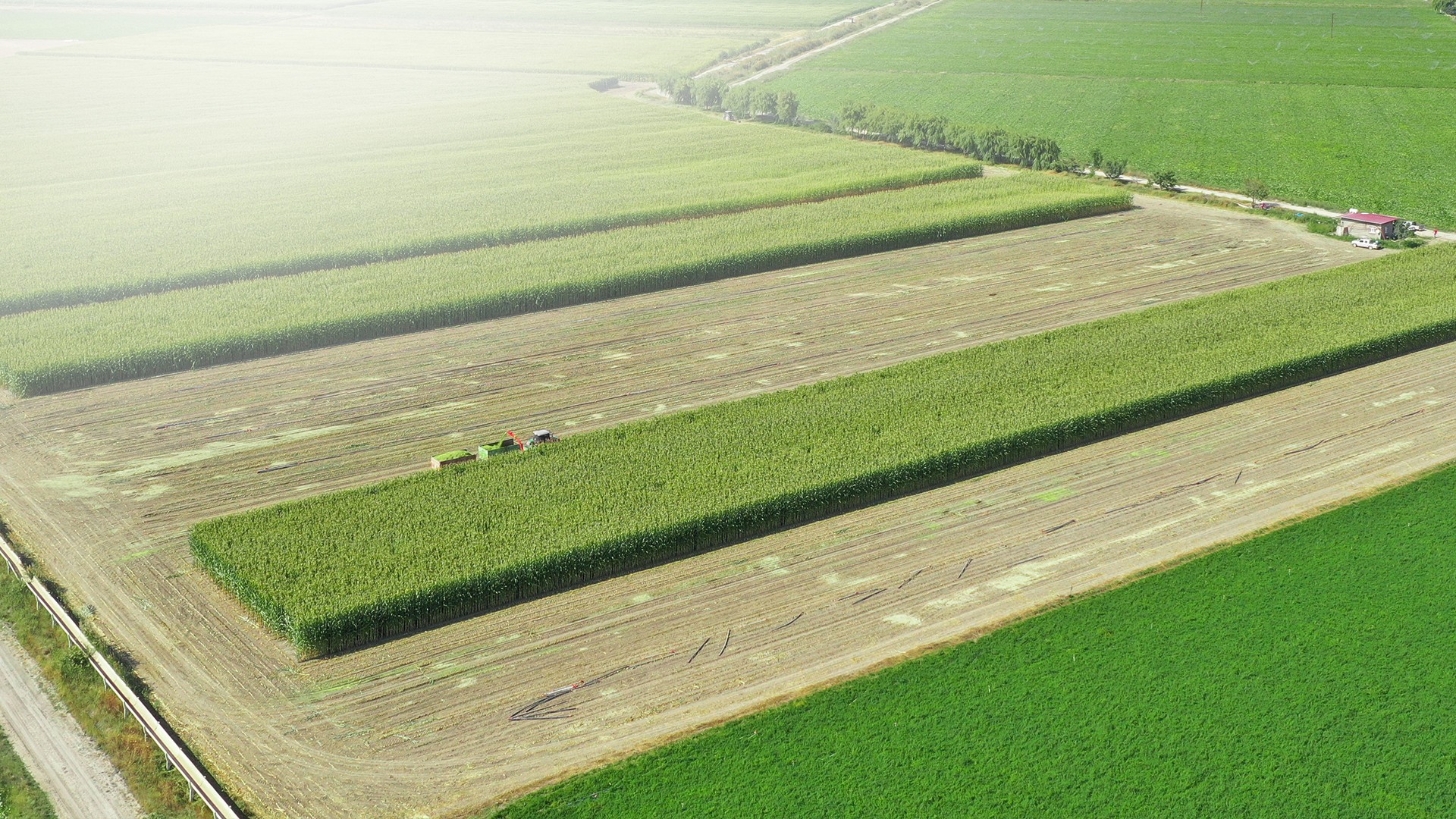 Agromaster